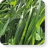 Tetrablend 260 PRO