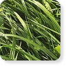 Tetrablend Energético