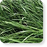 Tetrablend Híbrido